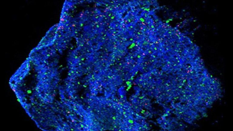 В недрах астероида Рюгу скрывалась внеземная загадка, способная переписать историю нашей Солнечной системы.