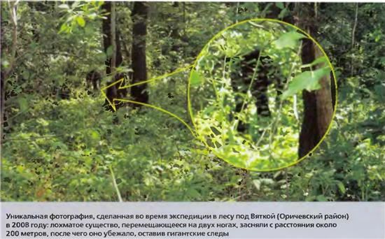 Йети это результат секретных военных генетических экспериментов?