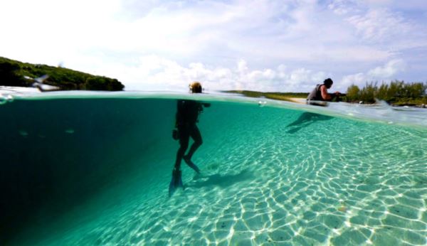 В Голубой дыре на Багамах вероятно обитает огромный агрессивный осьминог