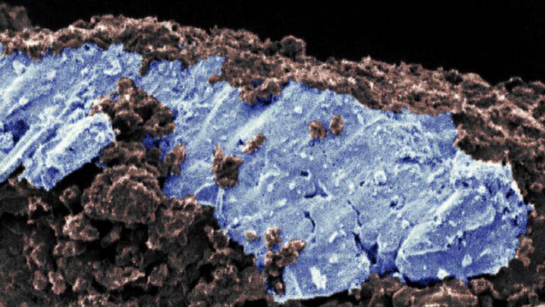 Загадка земных океанов: открытие на астероиде Рюгу ставит под сомнение прежние теории