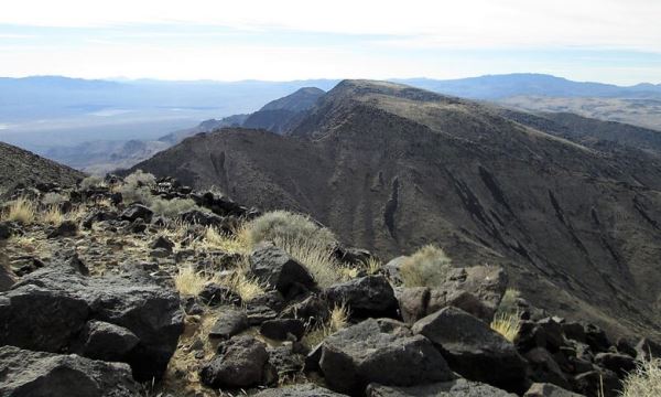 Столкновение с рептилоидом в Неваде в 1977 году
