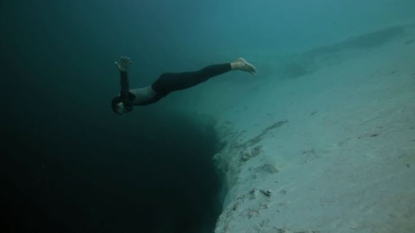 В Голубой дыре на Багамах вероятно обитает огромный агрессивный осьминог