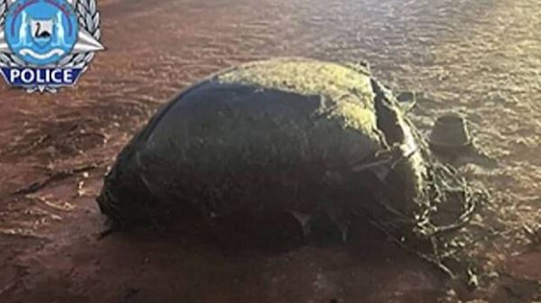 Загадочный объект рухнул на землю из космоса на глазах у австралийских шахтеров