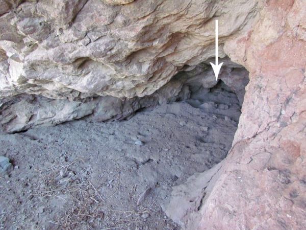 Столкновение с рептилоидом в Неваде в 1977 году