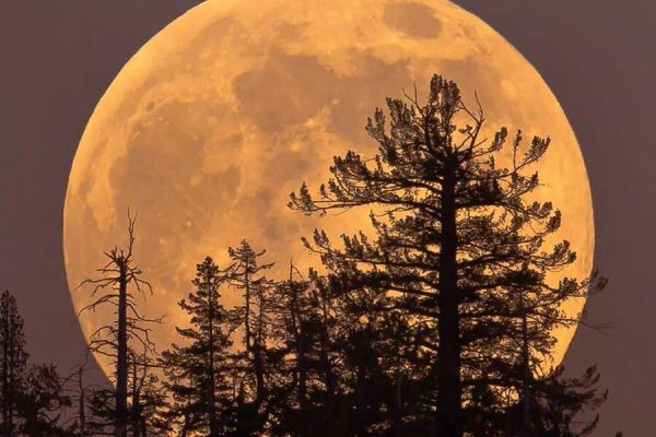 Вечером 6 октября Луна подойдет ближе к Земле, предупредили ученые