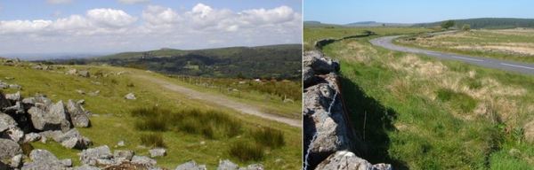 Жуткий британский дорожный феномен под названием «Волосатые руки»