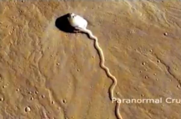 На фото с Марса найден огромный белый объект, похожий на сперматозоид