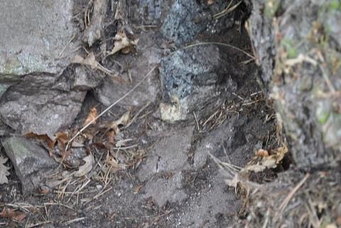 Загадка остекленных стен фортов древней Шотландии