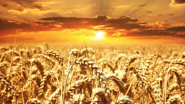 19-летняя девушка утонула и после спасения рассказала, как она побывала в Небесном Царстве